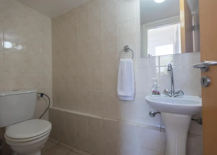 Renee * 普罗塔拉斯